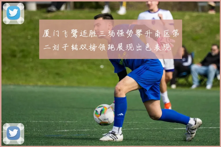 厦门飞鹭连胜三场强势攀升南区第二刘子铭双榜领跑展现出色表现