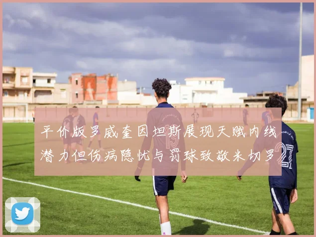 平价版罗威奎因坦斯展现天赋内线潜力但伤病隐忧与罚球致敬米切罗