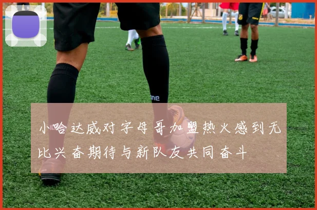小哈达威对字母哥加盟热火感到无比兴奋期待与新队友共同奋斗